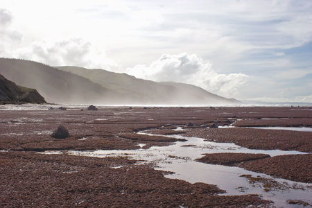 A stretch of beach on the East Coast of Southern Hawkes Bay. Between Porangahau and Whangaehu Beaches.の写真素材