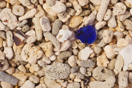 Coral and blue glass on Ha'atafu Beach, Tongatapu Islandの写真素材