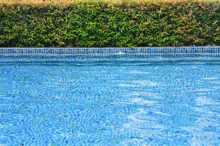 Blue water and edge of swimming poolの写真素材