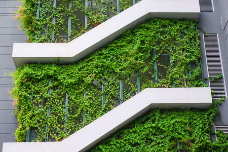 Eco building with plants on the wallの写真素材