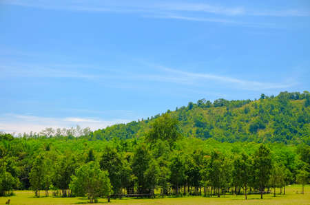 Bald Mountain is beautiful scenery grass field of Ranong,Thailandの写真素材