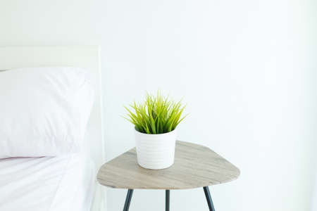 potted plant green near white pillow on bed , Select focusの写真素材