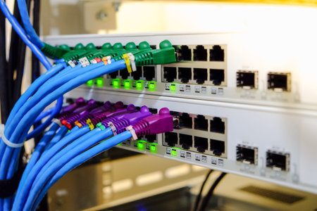 Local area network servers and cables