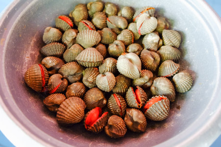 raw cockle seafood, thai food style