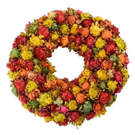 Colourful wreath made from dried saffron flowers isolated on white の写真素材
