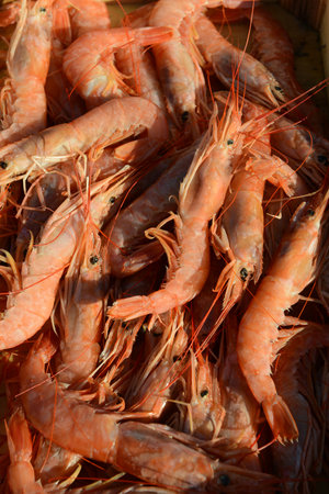 Raw shrimp langoustina close up photo from fishmark.の写真素材