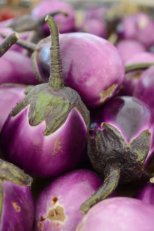 Close up of Sicilian round eggplants from market stall.の写真素材
