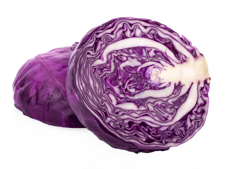 red cabbage isolated on whiteの写真素材
