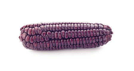 purple corn isolated on a white backgroundの写真素材