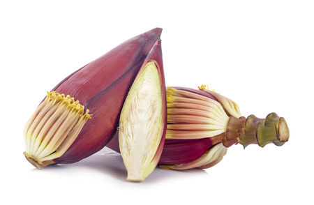 Fresh banana flower isolated on white backgroundの写真素材