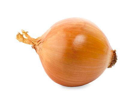 Ripe onion on a white backgroundの写真素材