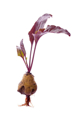 Beetroot with leaves, fresh whole beet isolated on white backgroundの写真素材