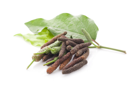 Long pepper or Piper longum isolated on white backgroundの写真素材