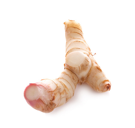Fresh galangal isolated on white background.の写真素材