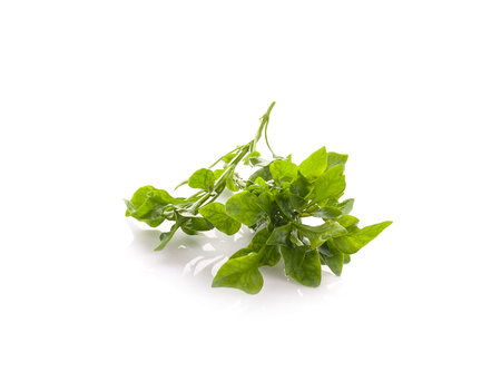 watercress isolated on white background