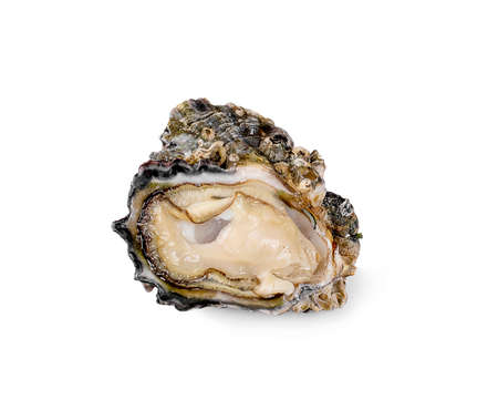 Fresh sweet pepper isolated on white backgroundの写真素材