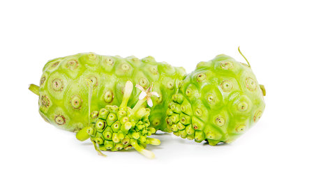 Noni or Morinda Citrifolia fruits an isolated on white background