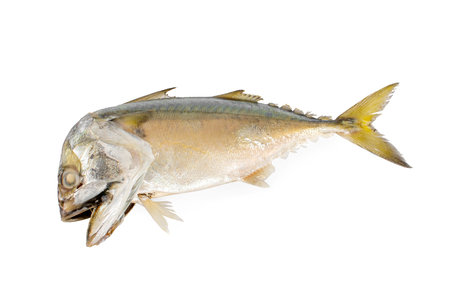 Steamed mackerel fish isolated on white backgroundの写真素材