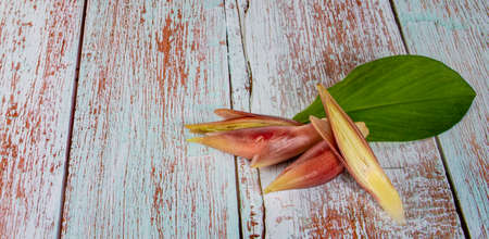 Myoga an isolated on wooden backgroundの写真素材