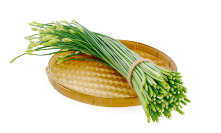 a bunch of flowering chinese garlic chives on the white background