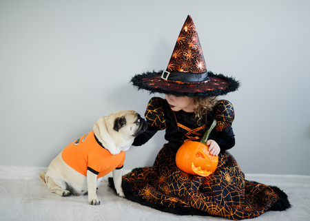 All Hallows Eve. Little girl in a suit of the evil sorcerer sits on a floor and irons an amusing pug. On a doggie have put on an orange sweater. The girl holds pumpkin. Friends are ready to Halloween.の写真素材