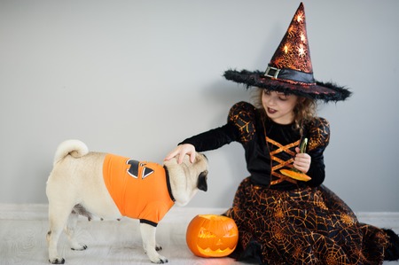 Little girl in a suit of evil sorcerer sits on floor and irons an amusing pug. On a doggie have put on an orange sweater. Nearby there is a pumpkin - Halloween symbol. Friends are ready to Halloween.の写真素材