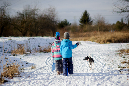 Two children and their dog on winter walk. Girl holds in hand the lightweight sledge, boy - a twig. Their pet runs near joyfully raised tail. Ground is covered by snow. Usual winter landscape.の写真素材