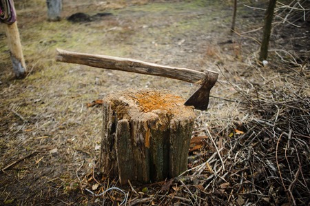 Old axe in stump. Old thrown garden. Dry grass. Autumn sad landscape.の写真素材