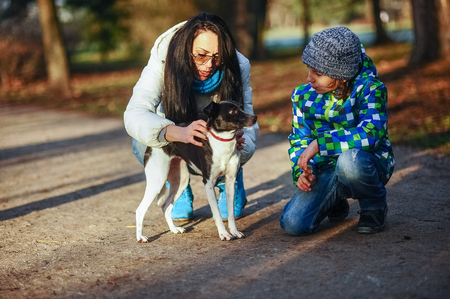 Mother and son walk their pet in the autumn Park. A woman and a boy sat down next to black-and-white dog. Mistress is petting the dog.の写真素材