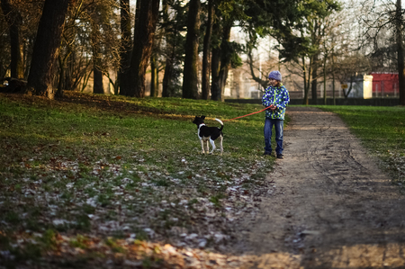 Boy 10-11 years walking the dog in autumn Park. He is holding the leash of a black-and-white cute dog.の写真素材