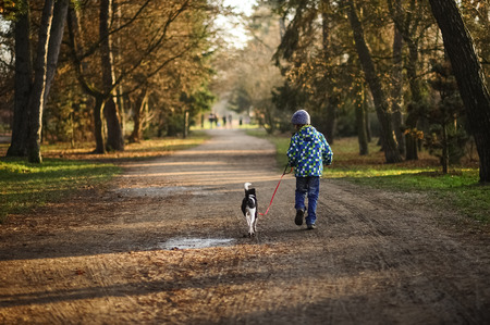 Boy 10-11 years walking the dog in autumn Park. He is holding the leash of a black-and-white cute dog.の写真素材