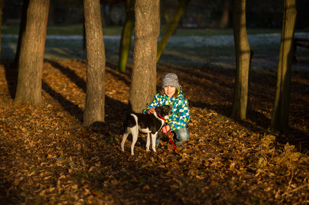 A boy of 9-10 years is squatting beside his dog. A child is walking his pet in an autumn park. Evening.の写真素材