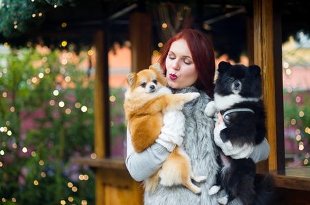 Young woman with two pets at the Christmas bazaar. Hostess holds two little pomeranian spitz on hands. Doggies of beige and black color. Festive mood.の写真素材