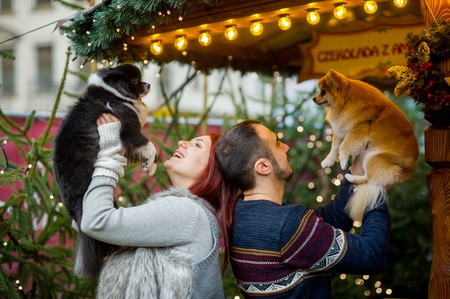 Christmas holidays. Young couple on the Christmas bazaar with pets. Two little spitz-dogs on hands at the owners.の写真素材