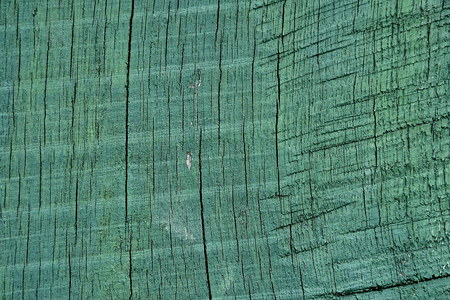 Wood Texture, Green Wooden Background, Close Up. Wood is beautiful.の写真素材