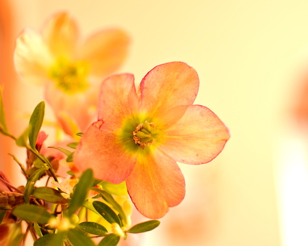 Beautiful bouquet of bright spring wildflowers.の写真素材