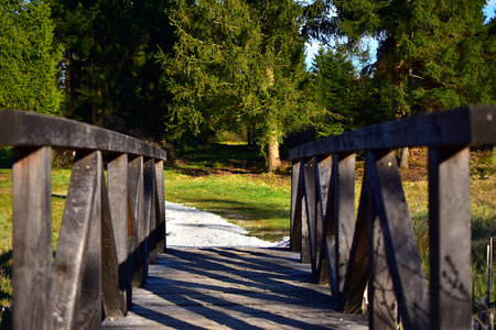 Simply Wooden bridge in beautiful and peacefully nature