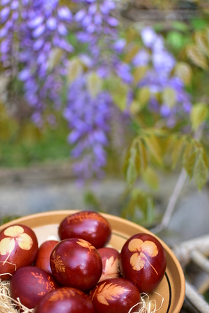 Home made Easter eggs cooked in water with onion peel and natural plant patterns.の写真素材