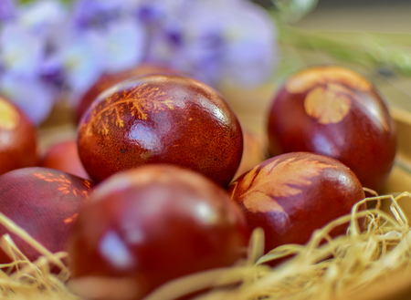Easter eggs background. Eggs with eco decoration and boiled in onion peels . Horizontal photo with selective focus. For the background is a violet or purple, blurred, spring flowers.の写真素材