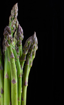 Vertical photo of fresh and green asparagus with water drops on them. The background is totally black. With a lot of space for text. Asparagus officinalis, garden asparagus or sparrow grass.の写真素材