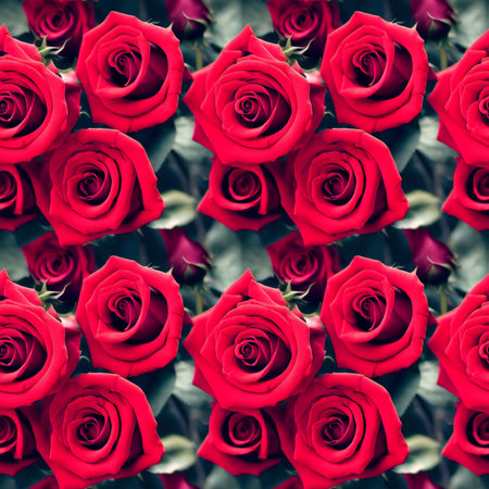 Seamless Red roses background. Valentines Day background. Beautiful red roses.の素材