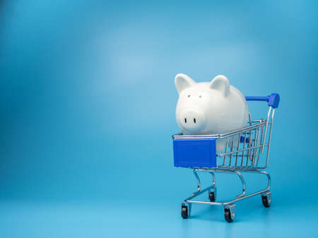 Piggy bank on a shopping mall cart On a blue background. Shopping concept.の写真素材