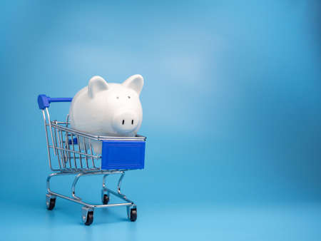 Piggy bank on a shopping mall cart On a blue background. Shopping concept.の写真素材
