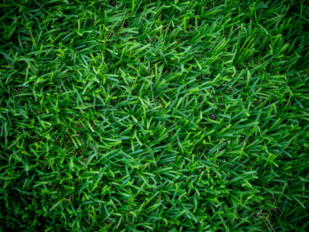 artificial green grass using for background or textureの写真素材
