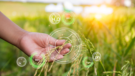Smart farming with IoT, futuristic agriculture 4.0 concept, farming 4.0, Smart agricultural...