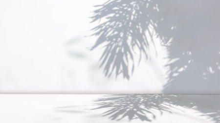 Background of nature cement texture with shadow palm leaves, Empty grey cement wall floor and wall...