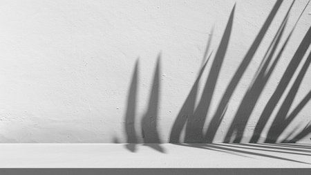 White wall and table with tropical leaf shadow under sunlight. Minimal natural background for product display, mockup design, and aesthetic presentation.の写真素材
