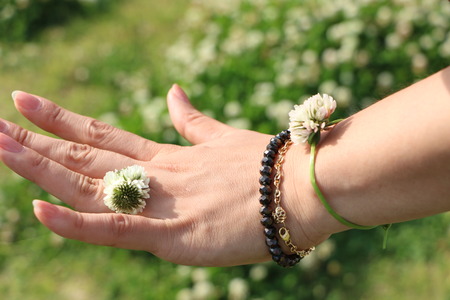 Clover rings.shamrock,の写真素材