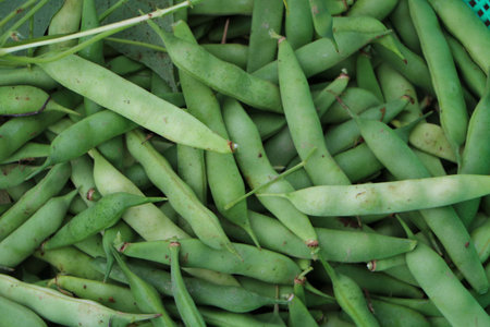 Legumes, nutrition, pea,