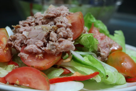 tomato saladの写真素材